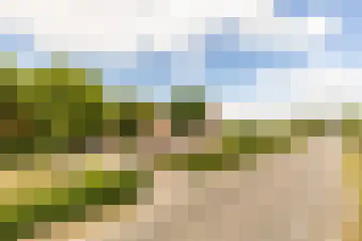 Pannenhoefsebaan 42 Rijsbergen thumbnail 8