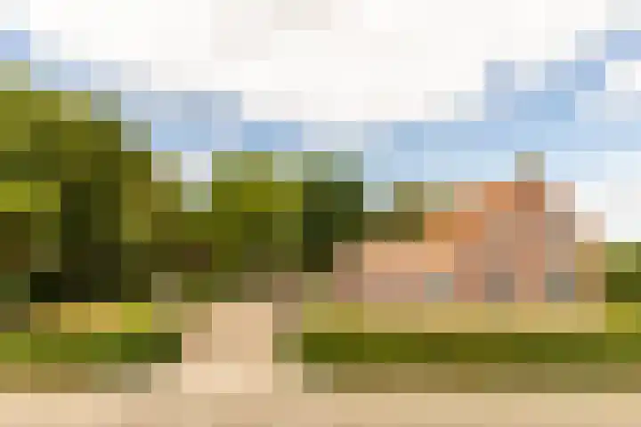 Pannenhoefsebaan 42 Rijsbergen thumbnail 9