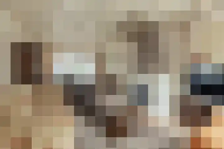Pannenhoefsebaan 7 Rijsbergen thumbnail 14