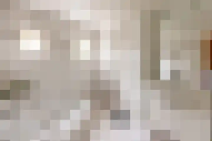 Pannenhoefsebaan 7 Rijsbergen thumbnail 17
