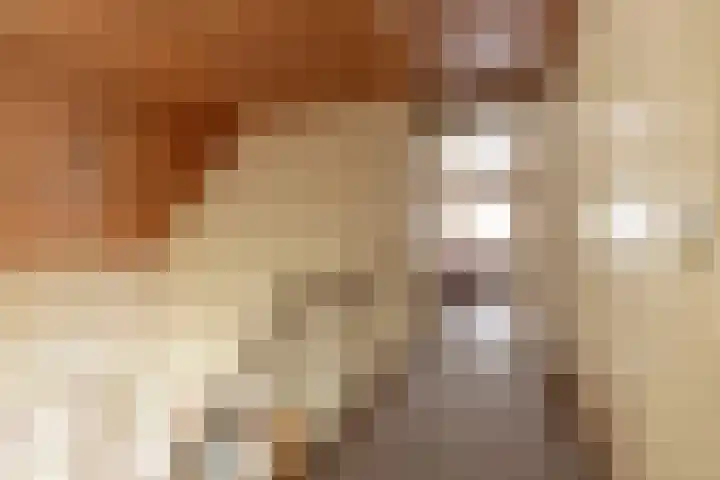 Pannenhoefsebaan 7 Rijsbergen thumbnail 18