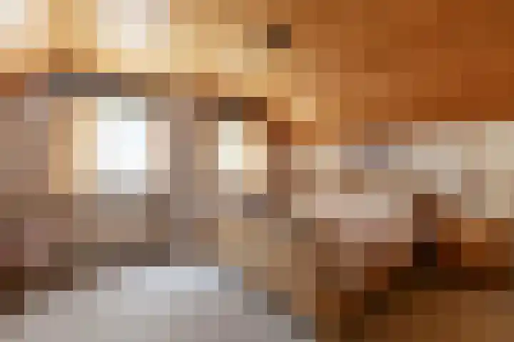 Pannenhoefsebaan 7 Rijsbergen thumbnail 19