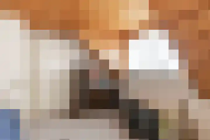Pannenhoefsebaan 7 Rijsbergen thumbnail 21