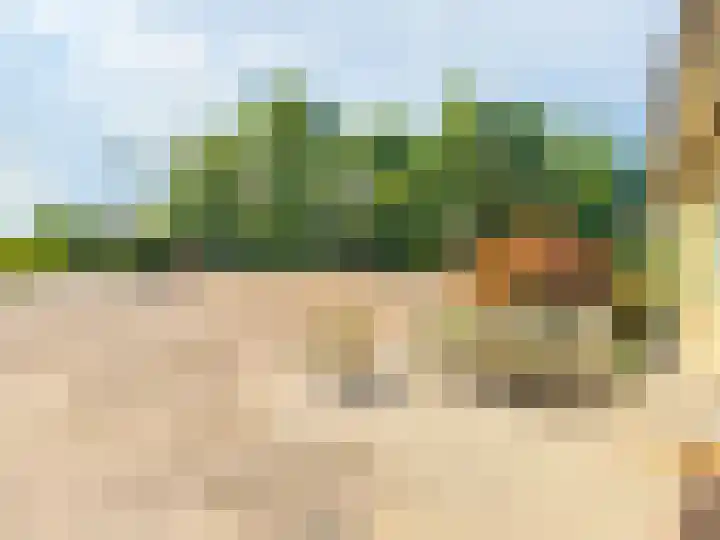 Pannenhoefsebaan 7 Rijsbergen thumbnail 25