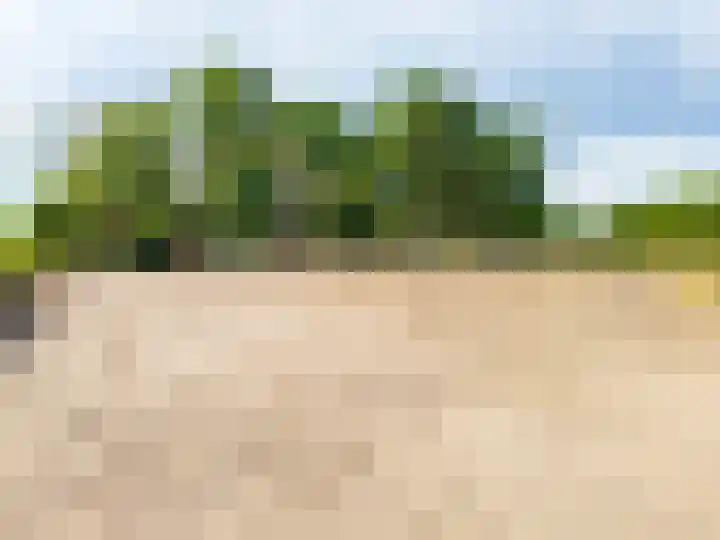 Pannenhoefsebaan 7 Rijsbergen thumbnail 26