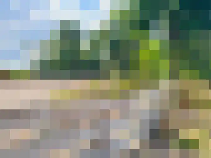 Pannenhoefsebaan 7 Rijsbergen thumbnail 28