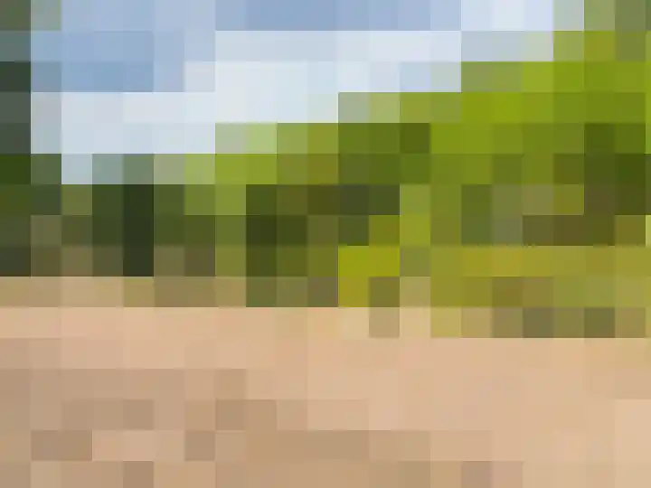 Pannenhoefsebaan 7 Rijsbergen thumbnail 30