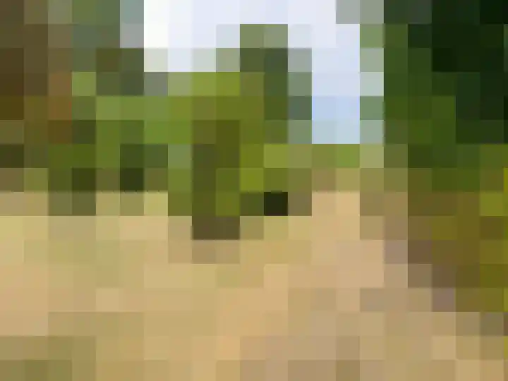 Pannenhoefsebaan 7 Rijsbergen thumbnail 31