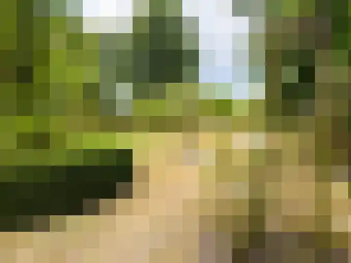 Pannenhoefsebaan 7 Rijsbergen thumbnail 32