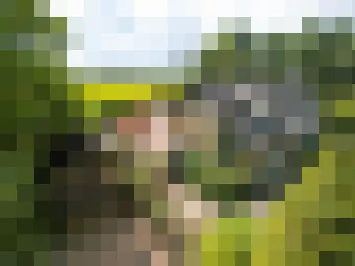 Pannenhoefsebaan 7 Rijsbergen thumbnail 33