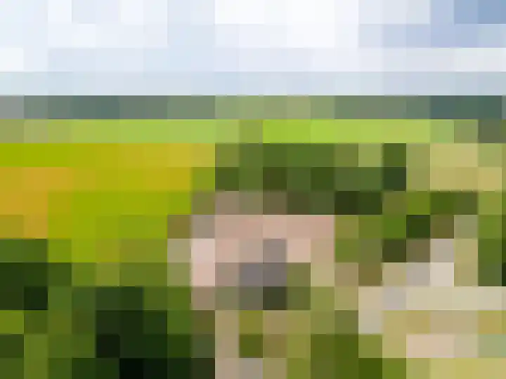 Pannenhoefsebaan 7 Rijsbergen thumbnail 34