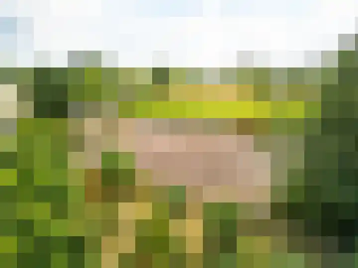 Pannenhoefsebaan 7 Rijsbergen thumbnail 35