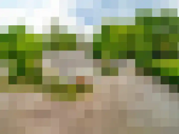 Pannenhoefsebaan 7 Rijsbergen thumbnail 36