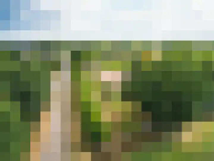 Pannenhoefsebaan 7 Rijsbergen thumbnail 4