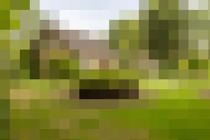 Pannenhoefsebaan 7 Rijsbergen thumbnail 41
