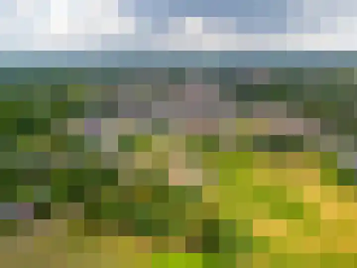 Pannenhoefsebaan 7 Rijsbergen thumbnail 42