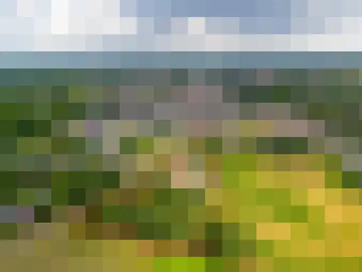 Pannenhoefsebaan 7 Rijsbergen thumbnail 43