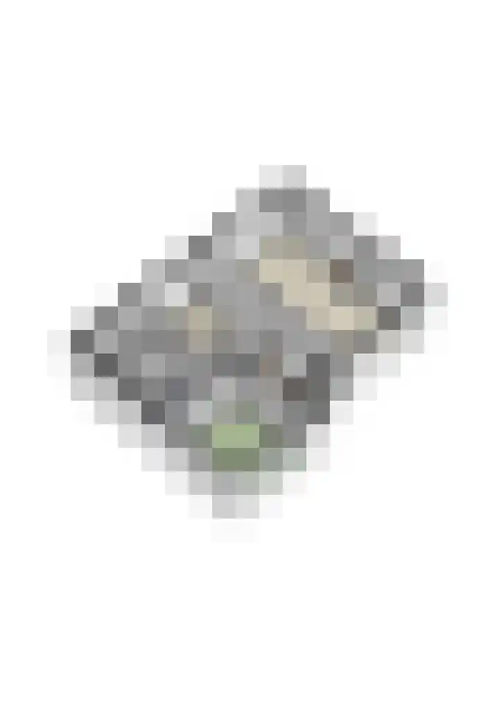 Pannenhoefsebaan 7 Rijsbergen thumbnail 46