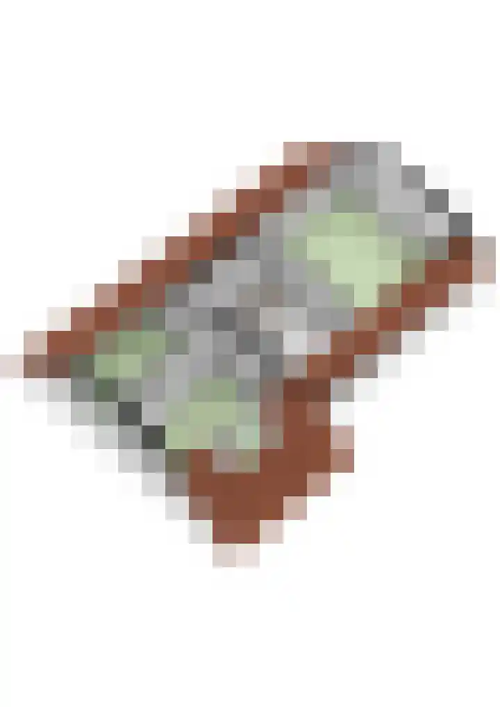 Pannenhoefsebaan 7 Rijsbergen thumbnail 48