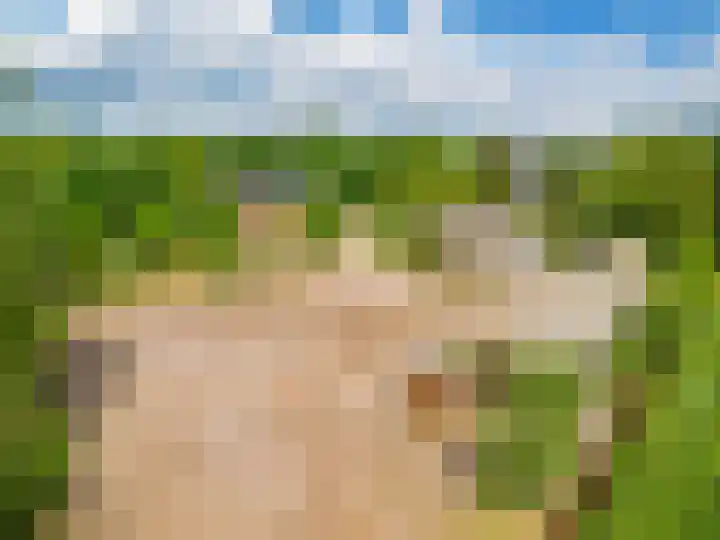 Pannenhoefsebaan 7 Rijsbergen thumbnail 5
