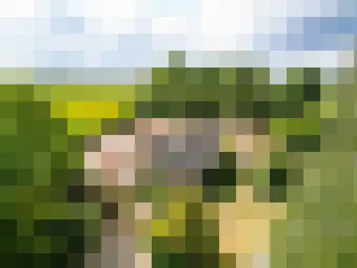 Pannenhoefsebaan 7 Rijsbergen thumbnail 51