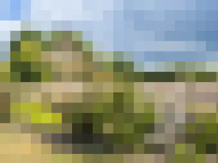 Pannenhoefsebaan 7 Rijsbergen thumbnail 7