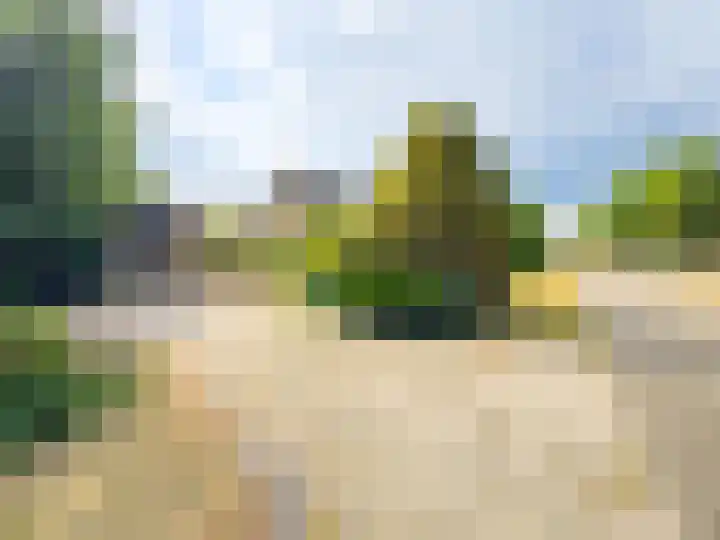 Pannenhoefsebaan 7 Rijsbergen thumbnail 8