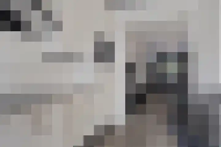 Pannenschuurlaan 13 Oisterwijk thumbnail 10