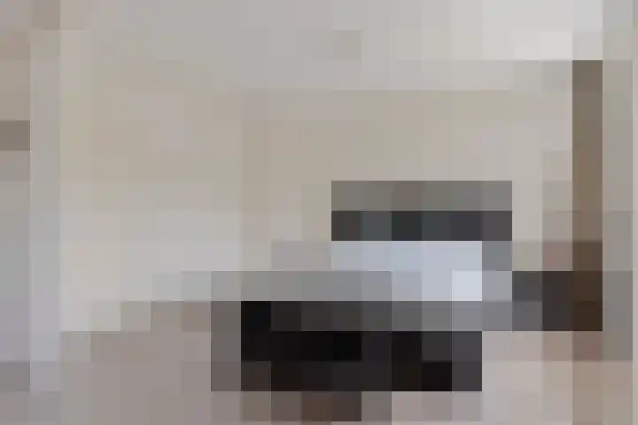 Pannenschuurlaan 13 Oisterwijk thumbnail 13