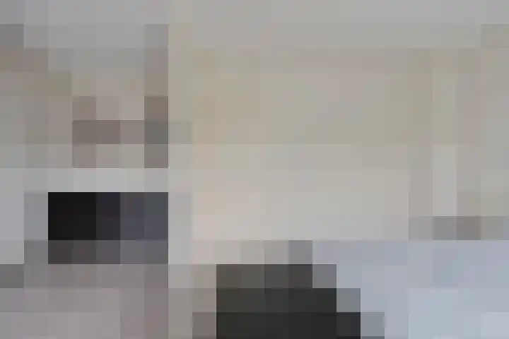 Pannenschuurlaan 13 Oisterwijk thumbnail 14