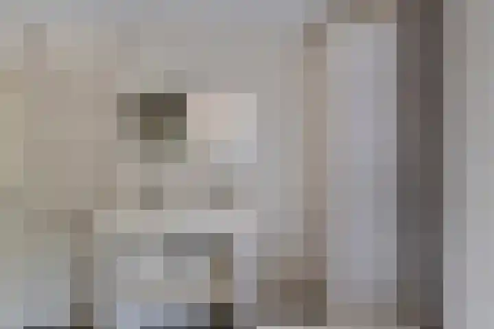 Pannenschuurlaan 13 Oisterwijk thumbnail 17