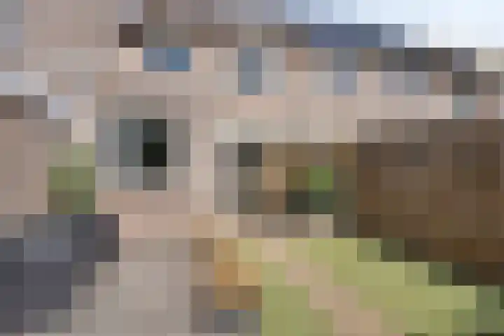 Pannenschuurlaan 13 Oisterwijk thumbnail 24