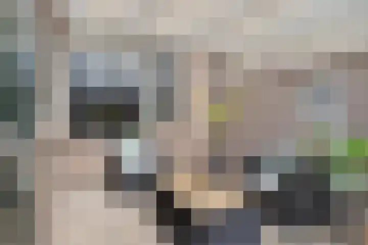 Pannenschuurlaan 13 Oisterwijk thumbnail 27
