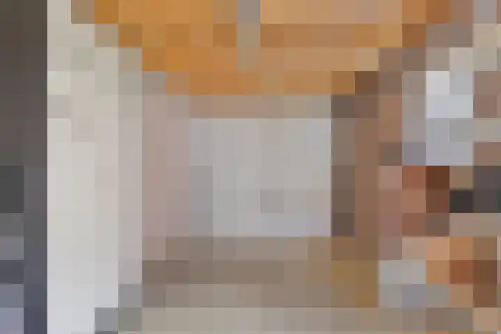 Pannenschuurlaan 13 Oisterwijk thumbnail 29