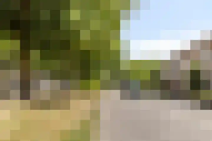 Pannenschuurlaan 13 Oisterwijk thumbnail 33