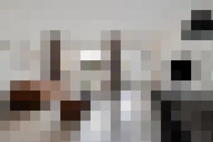 Pannenschuurlaan 13 Oisterwijk thumbnail 5