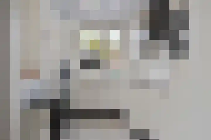 Pannenschuurlaan 13 Oisterwijk thumbnail 9