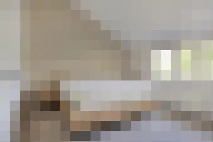 Pannenschuurlaan 177 Oisterwijk thumbnail 18