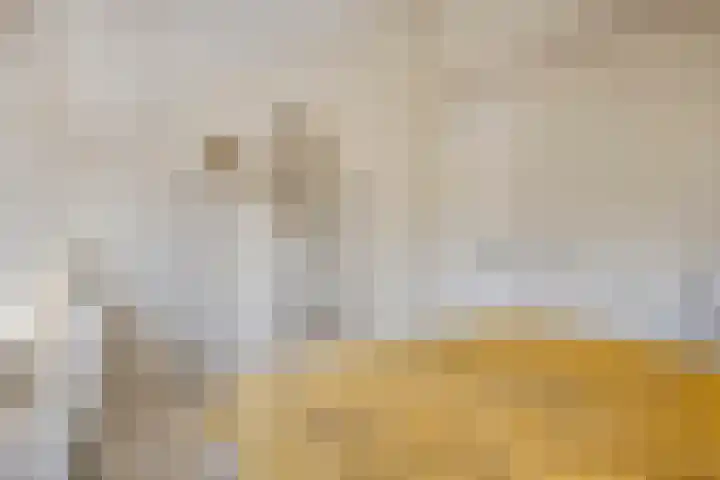 Pannenschuurlaan 177 Oisterwijk thumbnail 24