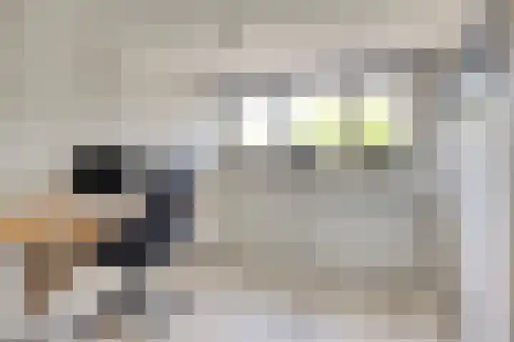 Pannenschuurlaan 177 Oisterwijk thumbnail 25