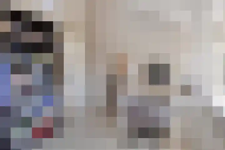 Pannenschuurlaan 177 Oisterwijk thumbnail 28