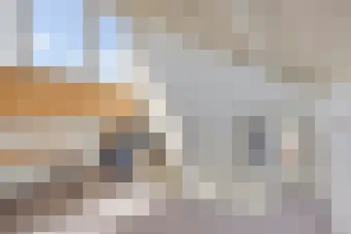 Pannenschuurlaan 177 Oisterwijk thumbnail 29