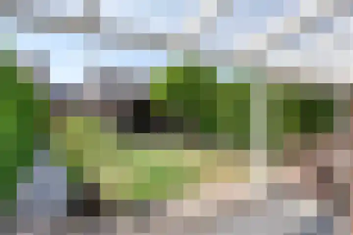 Pannenschuurlaan 177 Oisterwijk thumbnail 32