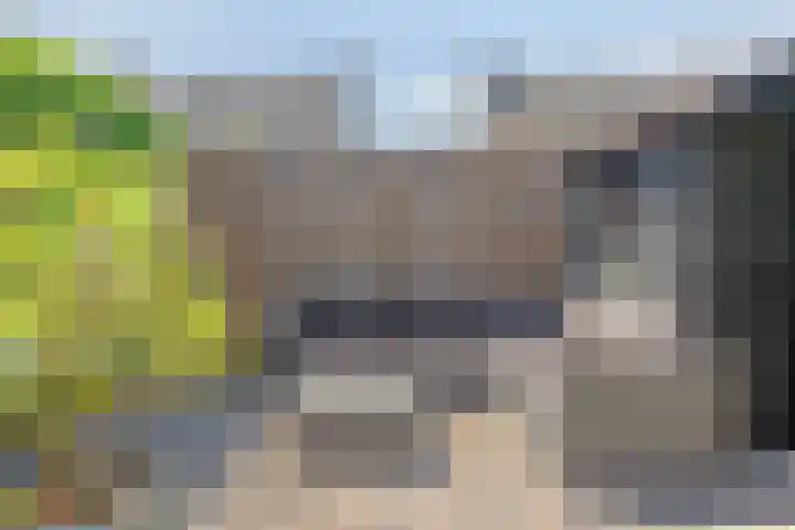 Pannenschuurlaan 177 Oisterwijk thumbnail 35