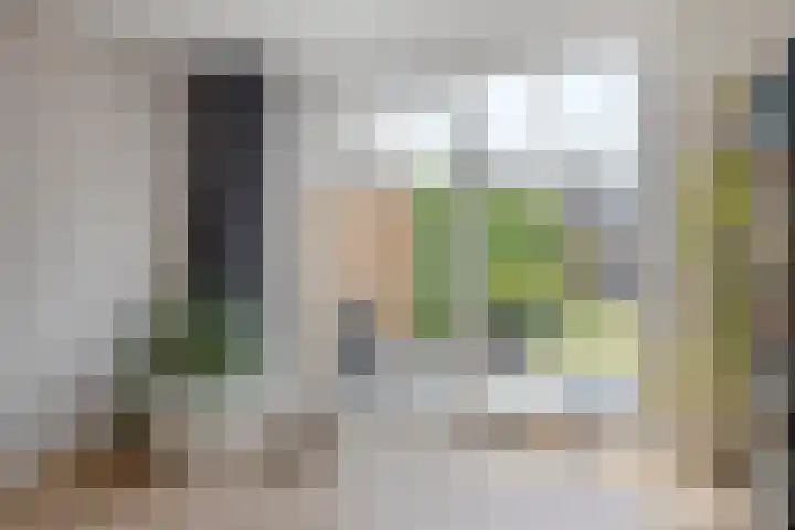 Pannenschuurlaan 177 Oisterwijk thumbnail 9