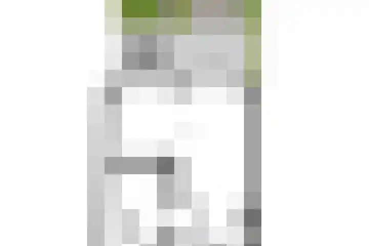 Pannenschuurlaan 191 Oisterwijk thumbnail 36