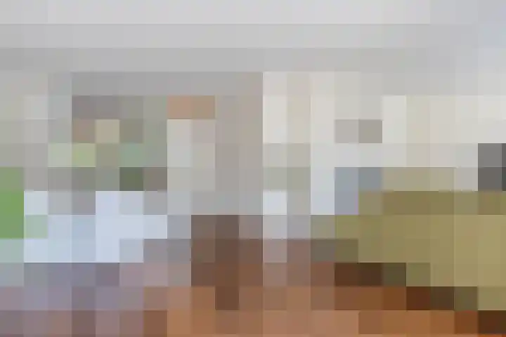 Pannenschuurlaan 191 Oisterwijk thumbnail 8