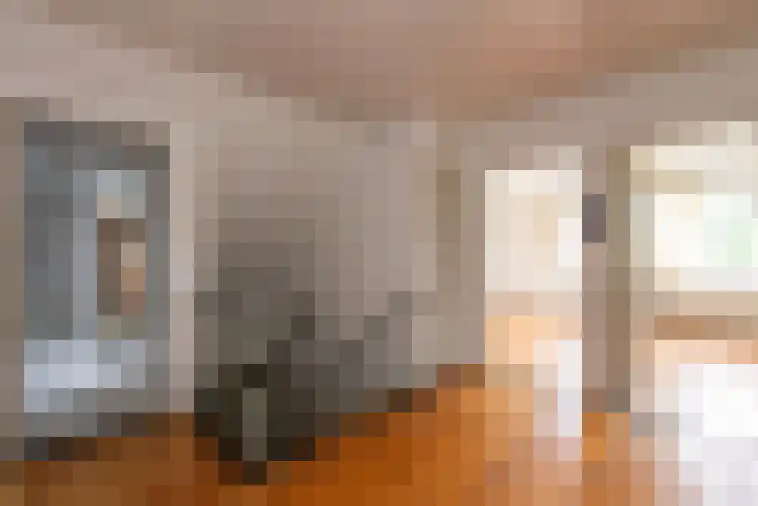 Pannenschuurlaan 201 Oisterwijk thumbnail 19