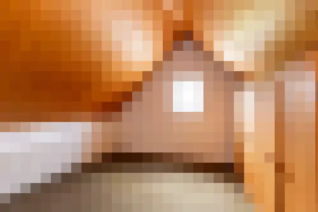 Pannenschuurlaan 201 Oisterwijk thumbnail 26