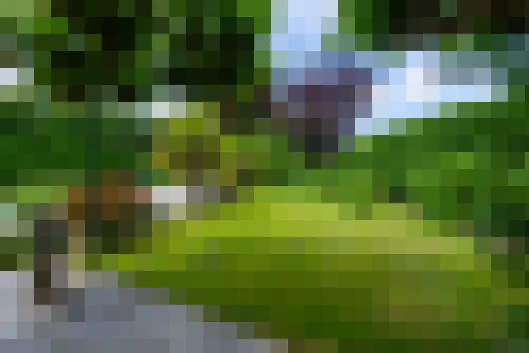 Pannenschuurlaan 201 Oisterwijk thumbnail 28